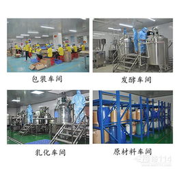 数据处理服务 驱动现代企业数字化转型的核心引擎